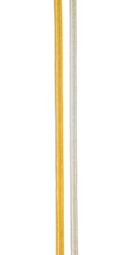 FI2100