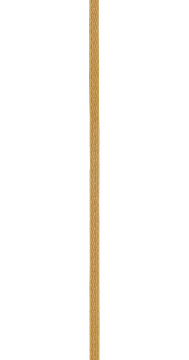 F12487N NARROW GOLD GALLOON