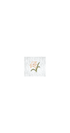 Veil &ndash; 8118Q