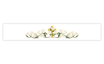 ''Lilly of the Cross" Easter Superfrontal 