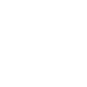 Textured weave icon