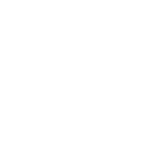 Eco-friendly leaf icon