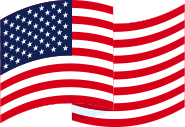 USA flag icon