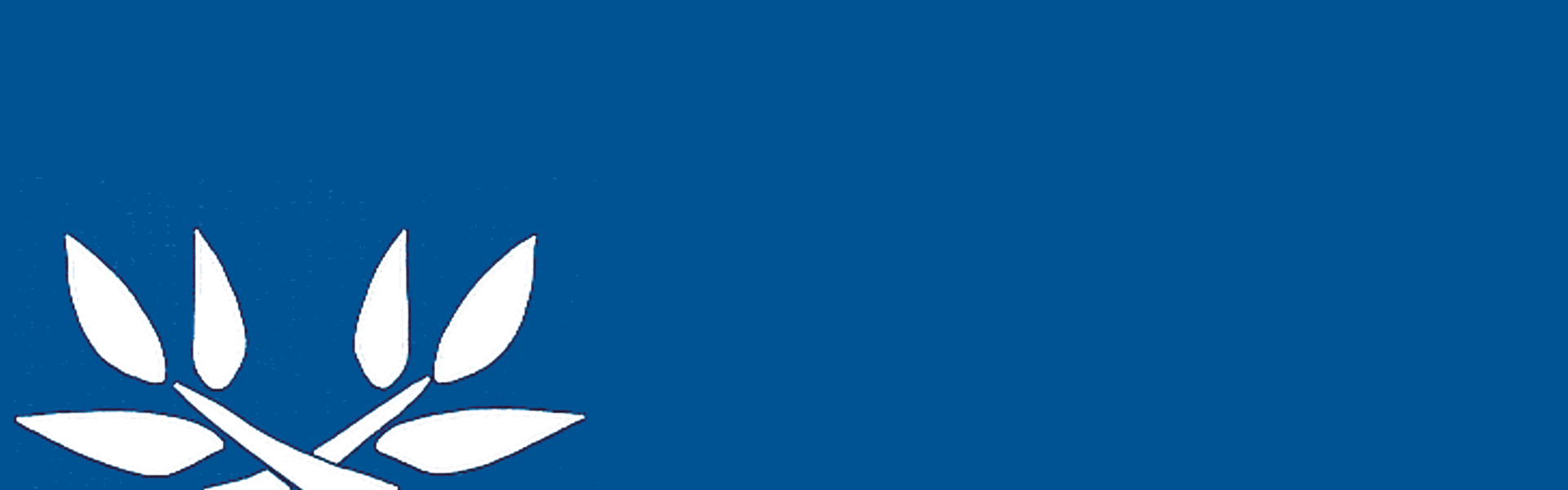 Emmanuel Advent Parament Set (No. 6000)